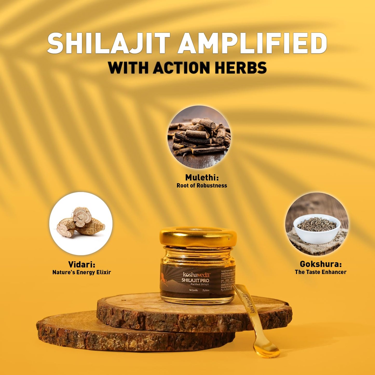 Koshaveda Shilajit Pro by MuscleBlaze, 20 g - Muscleblaze