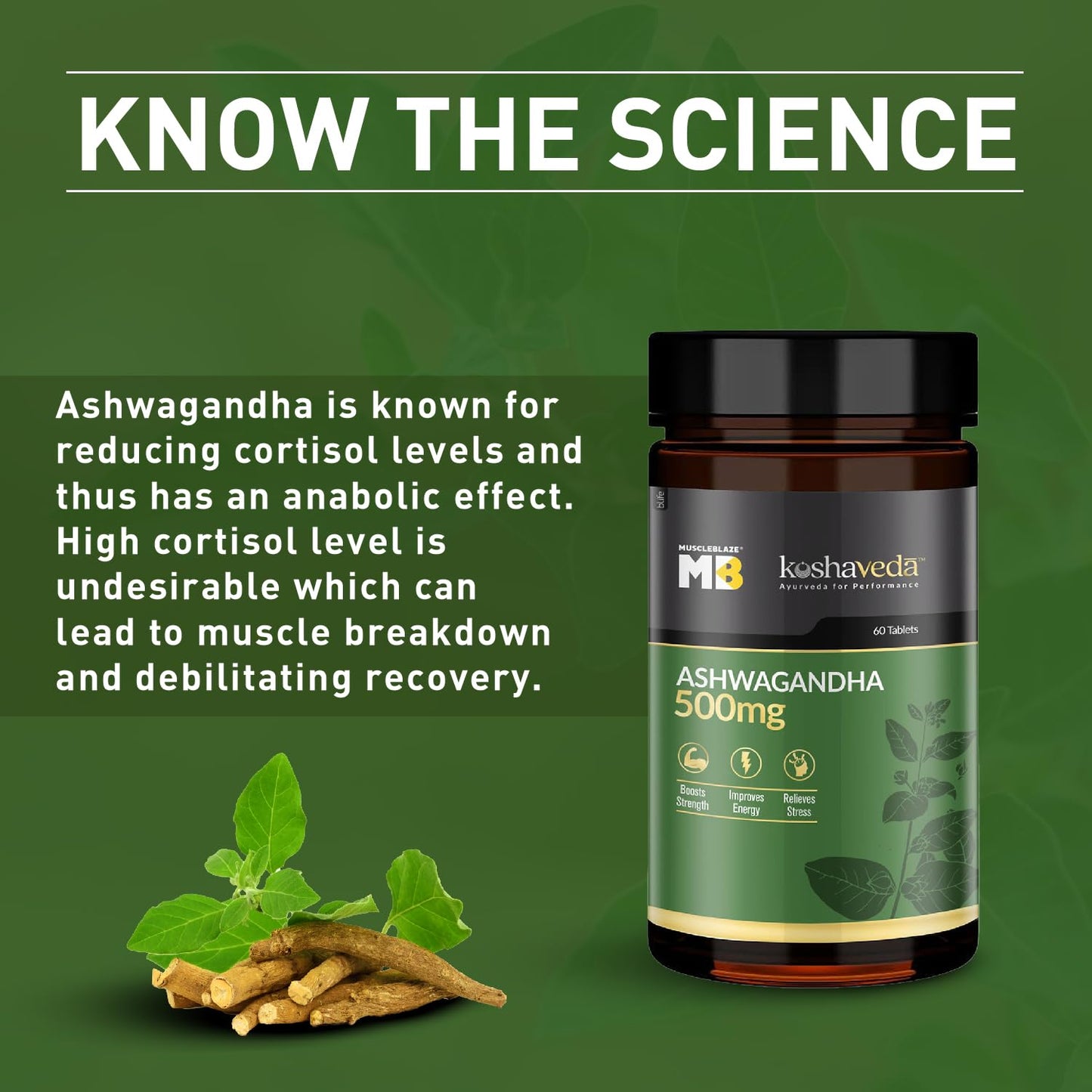 MuscleBlaze Koshaveda - Ashwagandha 500mg, 60 tablet - Muscleblaze