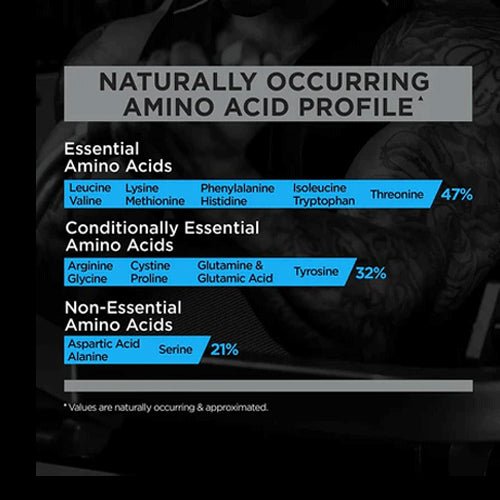 Rule One R1 Whey Blend 5 Lbs Isolate plus Concentrate - Rule One